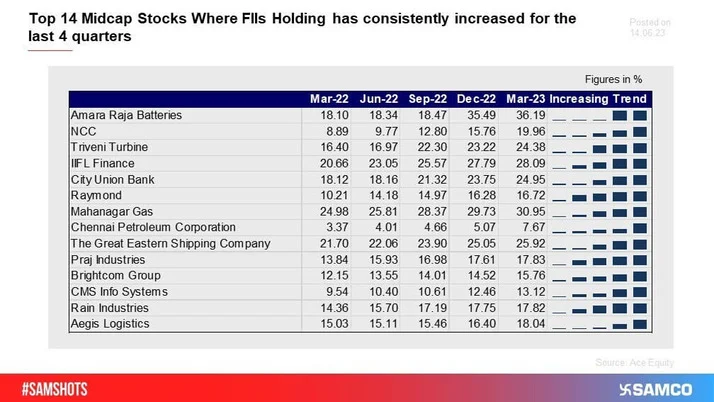 Top 14 Midcap Picks of FIIs for the Last 4 Quarters!