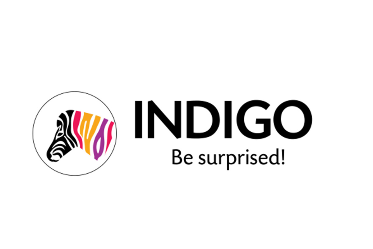Indigo Paints Limited IPO | Get Issue Detail, Bidding Status, RHP, NEWS, Rating | Samco