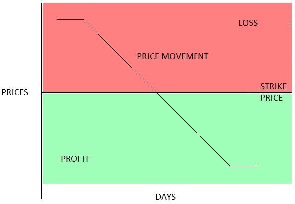 US Options Margin