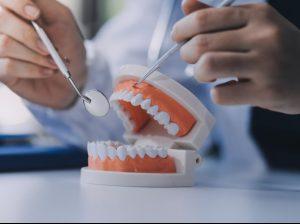 Laxmi Dental Shares Soar on Strong Market Debut