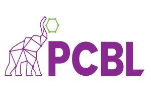 PCBL Shares Plunge 11% After Q3FY25 Net Profit Declines by 37%