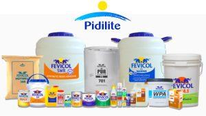 Pidilite Industries Rises 8% on Strong Q3 Results: Revenue and Profitability Drive Investor Confidence