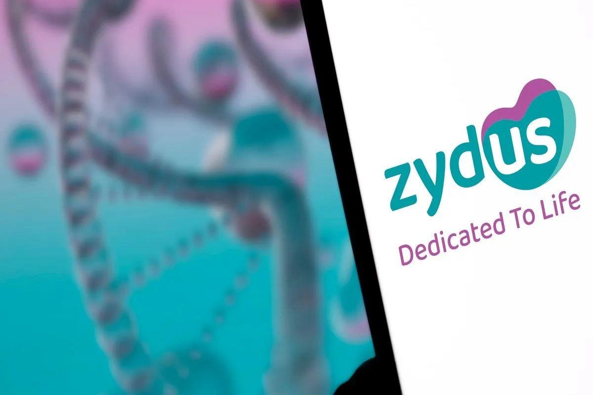 Share Price of Zydus Lifesciences Climbs Over 2% After Strong Q3 Earnings Report